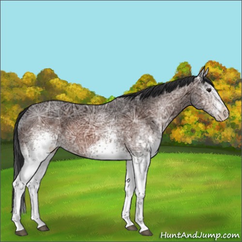 Horse Color:White Spotted Brown Ice 