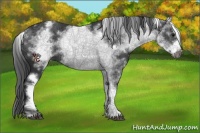 Horse Color:White Spotted Black Frame 