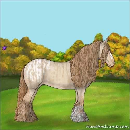 Horse Color:Red Dun Appaloosa  and Red Dun Appaloosa 