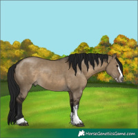 Horse Color:Gray Brown Dun Sabino Splash Tobiano