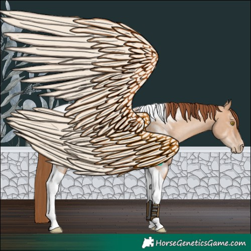 Horse Color:Brown Pearl Dun Tobiano