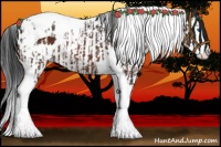 Horse Color:Bay Splash Tobiano Appaloosa  and Bay Splash Tobiano Appaloosa 