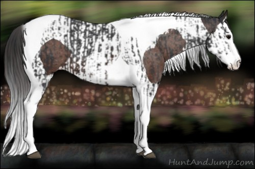 Horse Color:Brown Splash Tobiano Varnish  and Bay Splash Tobiano Varnish 