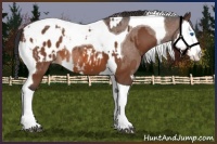 Horse Color:Bay Splash Tobiano Blanket  and Bay Splash Tobiano Blanket 