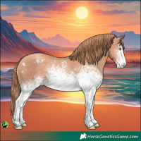 Horse Color:White Spotted Gold Champagne Rabicano 