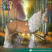 Horse Color:Chocolate Palomino Tobiano 