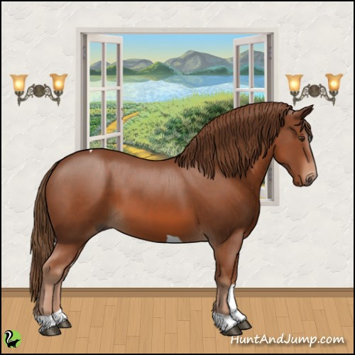 Horse Color:Chestnut Tobiano