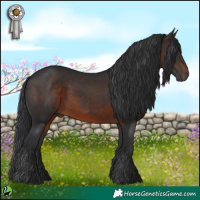 Horse Color:Brown 