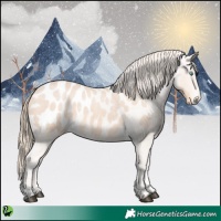 Horse Color:Perlino Roan Appaloosa 