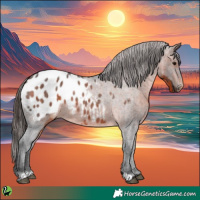 Horse Color:Brown Roan Varnish