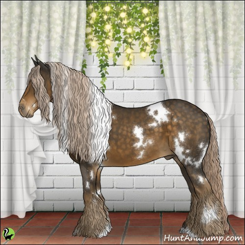 Horse Color:White Spotted Chocolate Palomino 