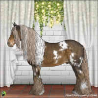 Horse Color:White Spotted Chocolate Palomino