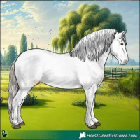 Horse Color:White Spotted Chocolate Palomino 