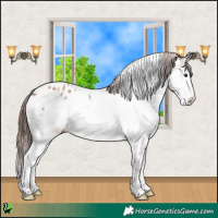 Horse Color:White Spotted Classic Champagne Splash Appaloosa Rabicano 