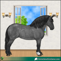Horse Color:Blue Roan Rabicano 