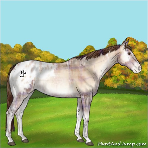 Horse Color:Plaid  Bay Ice Snowdrop Pearl Onyx Blanket 