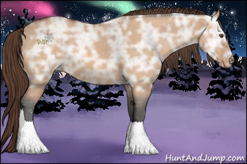 Horse Color:Bay Ice Dun Appaloosa 