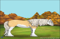 Horse Color:Palomino Splash