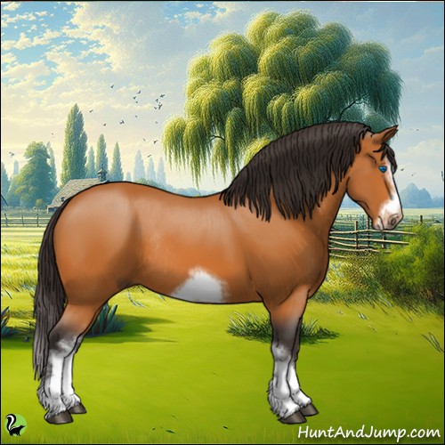 Horse Color:White Spotted Buckskin Splash Frame Rabicano 