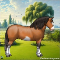 Horse Color:White Spotted Buckskin Splash Frame Rabicano 