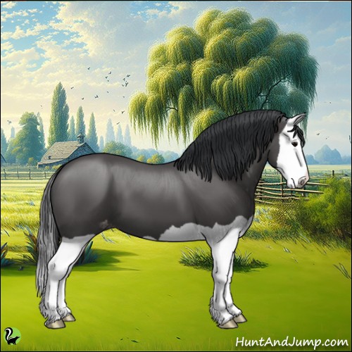Horse Color:Black Splash Appaloosa 