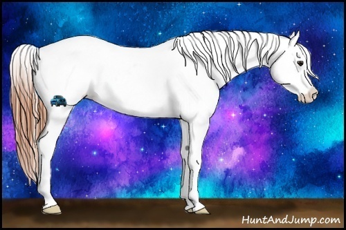 Horse Color:White Spotted Bay Tobiano Blanket Rabicano 