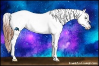 Horse Color:White Spotted Bay Tobiano Blanket Rabicano 