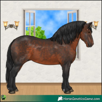 Horse Color:Brown 