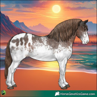 Horse Color:White Spotted Liver Red Roan Appaloosa