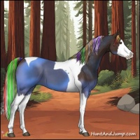 Horse Color:Painted Liver Chestnut Splash Tobiano