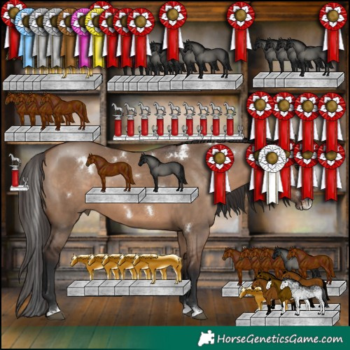 Horse Color:White Spotted Bay Dun Sabino Splash Rabicano 