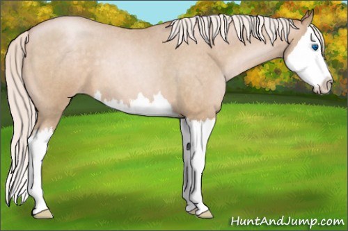 Horse Color:Silver Buckskin Roan Pearl Splash 