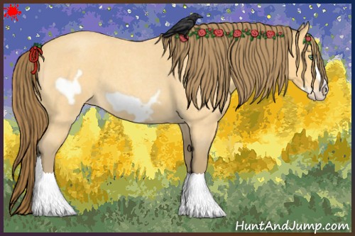 Horse Color:Amber Cream Champagne Roan Frame Appaloosa