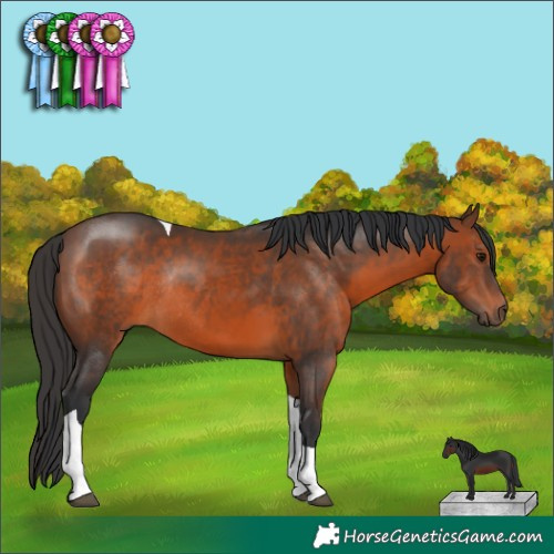 Horse Color:Brown Tobiano Rabicano