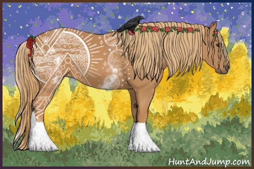 Horse Color:White Spotted Chestnut 