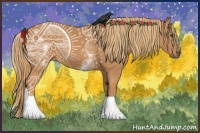 Horse Color:White Spotted Chestnut 