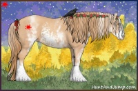 Horse Color:White Spotted Gold Champagne