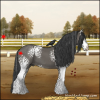Horse Color:White Spotted Grullo