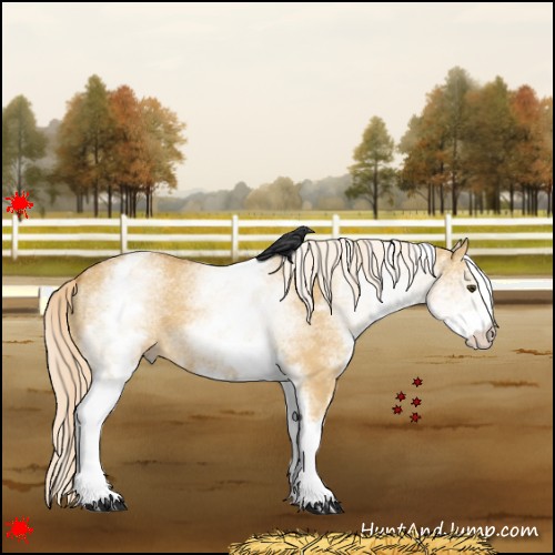 Horse Color:White Spotted Palomino Dun 