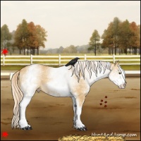 Horse Color:White Spotted Palomino Dun