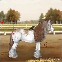 Horse Color:White Spotted Red Dun Varnish 