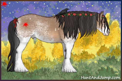 Horse Color:White Spotted Bay Dun