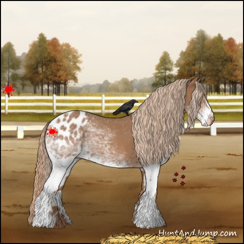 Horse Color:White Spotted Chestnut Blanket 