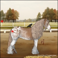 Horse Color:White Spotted Chestnut Blanket 