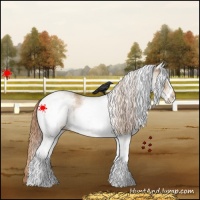 Horse Color:White Spotted Red Dun