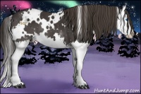Horse Color:White Spotted Smoky Black Sabino Splash 