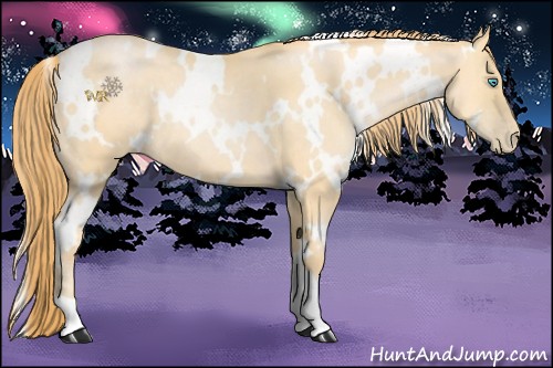 Horse Color:White Spotted Buckskin Pearl 