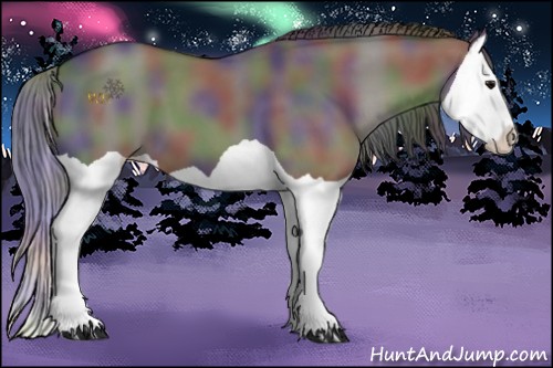 Horse Color:Nacre Grullo Splash 