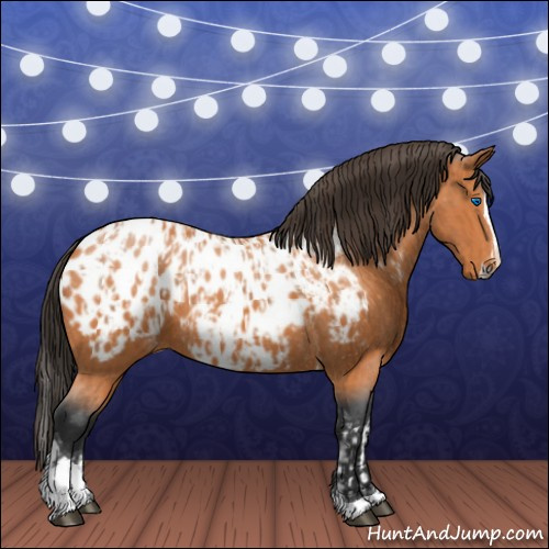 Horse Color:Bay Splash Tobiano Appaloosa  and Bay Splash Tobiano Appaloosa 