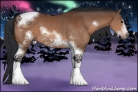 Horse Color:Bay Sabino Tobiano Frame